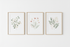 Set of 3 botanical watercolor prints featuring leaves, wildflowers, and eucalyptus in sage green, blush pink, and cream